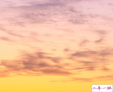 2022情人节幸福的爱情句子带图片 我把四季用来等你4