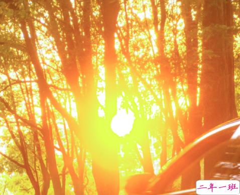 2022情人节幸福的爱情句子带图片 我把四季用来等你5