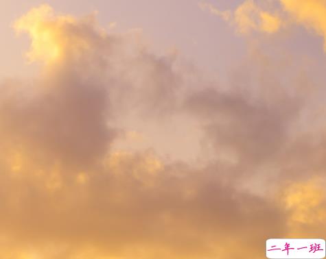 2022情人节幸福的爱情句子带图片 我把四季用来等你6