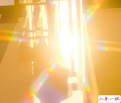 2022情人节幸福的爱情句子带图片 我把四季用来等你7