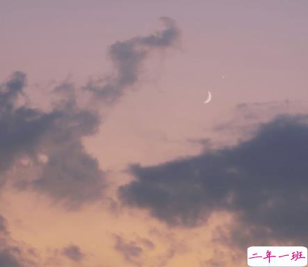 2022情人节幸福的爱情句子带图片 我把四季用来等你8