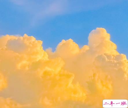 2022情人节幸福的爱情句子带图片 我把四季用来等你11