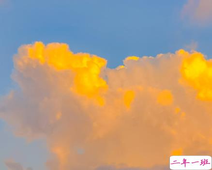 2022情人节幸福的爱情句子带图片 我把四季用来等你13