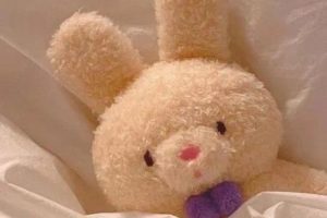 用美食表达祝愿的文案带图片 五星红旗会保护每个离开中国的孩子