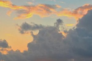 2022七月你好励志说说 七月最新励志早安语录