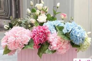 看了想复制的疯批文学带图片 热门网上很火的文案