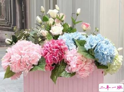 看了想复制的疯批文学带图片 热门网上很火的文案1