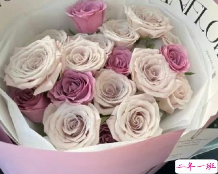 看了想复制的疯批文学带图片 热门网上很火的文案2