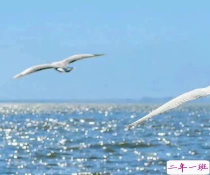 看了想复制的疯批文学带图片 热门网上很火的文案6