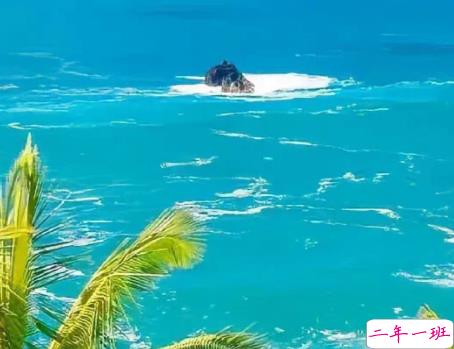 看了想复制的疯批文学带图片 热门网上很火的文案8