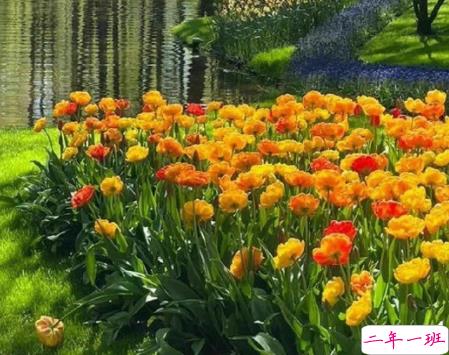 看了想复制的疯批文学带图片 热门网上很火的文案9