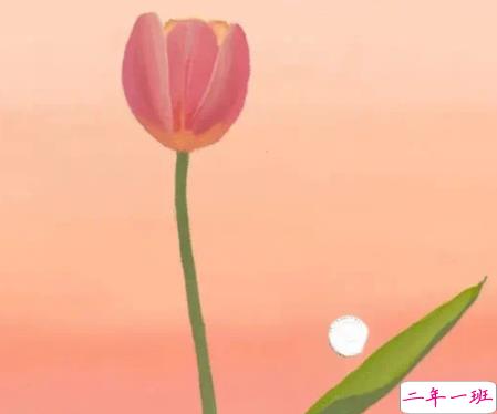 看了想复制的疯批文学带图片 热门网上很火的文案10