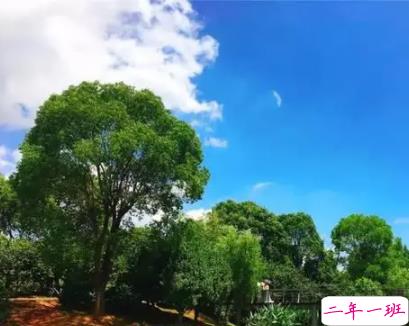 关于盛夏的唯美短句带图片 夏季唯美好听的说说3