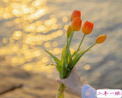 关于盛夏的唯美短句带图片 夏季唯美好听的说说9