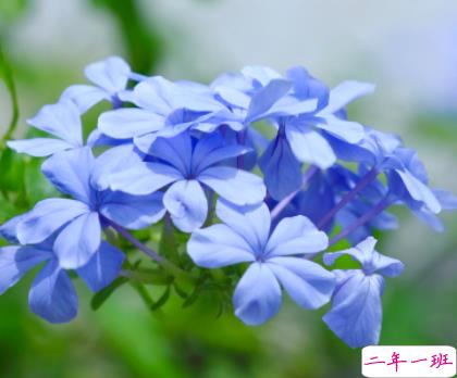 关于盛夏的唯美短句带图片 夏季唯美好听的说说11