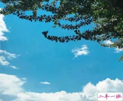 关于盛夏的唯美短句带图片 夏季唯美好听的说说12