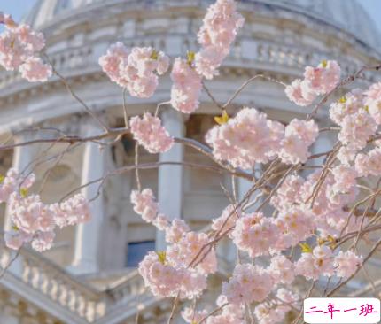 女朋友无理取闹的说说带图片 女朋友无理取闹心好累的文案3