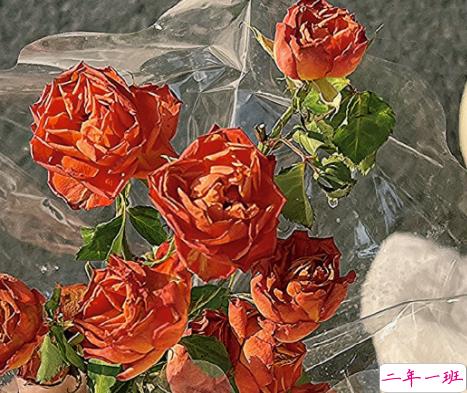 女朋友无理取闹的说说带图片 女朋友无理取闹心好累的文案6