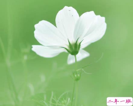 女朋友无理取闹的说说带图片 女朋友无理取闹心好累的文案7