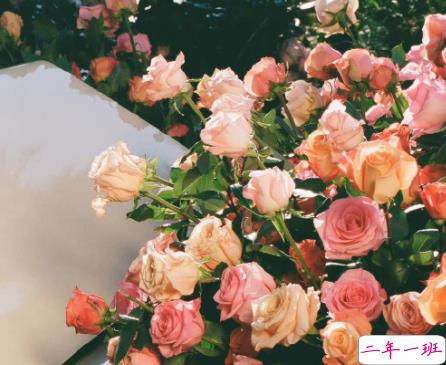 女朋友无理取闹的说说带图片 女朋友无理取闹心好累的文案14