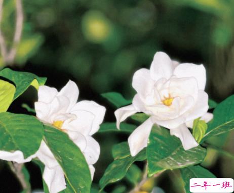 女朋友无理取闹的说说带图片 女朋友无理取闹心好累的文案15