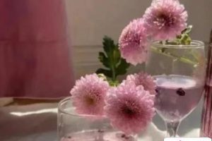 简单却很压抑的文案带图片 我在往前走为什么我还是会哭