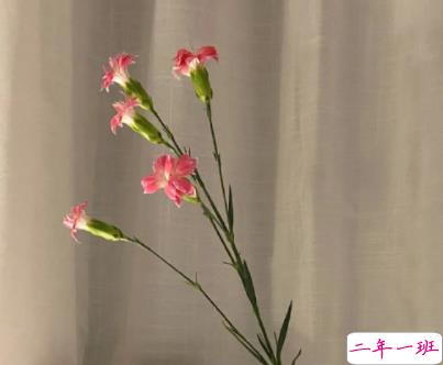 简单却很压抑的文案带图片 我在往前走为什么我还是会哭6