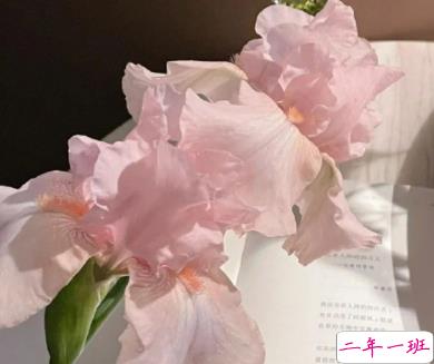 简单却很压抑的文案带图片 我在往前走为什么我还是会哭8