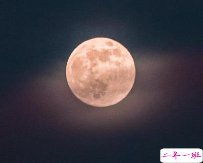 有道理三观正的句子带图片 希望有人觉得认识我是件幸福的事9