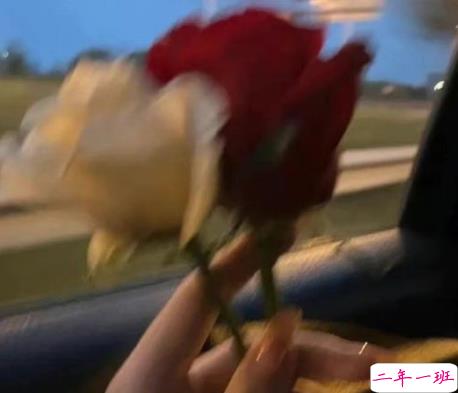 有道理三观正的句子带图片 希望有人觉得认识我是件幸福的事10