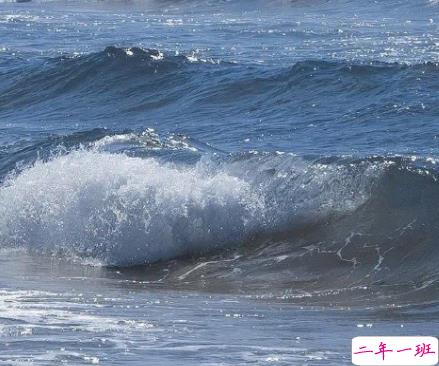 有道理三观正的句子带图片 希望有人觉得认识我是件幸福的事12