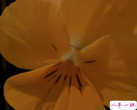 突然降温了怎么发朋友圈 适合降温发的朋友圈句子2