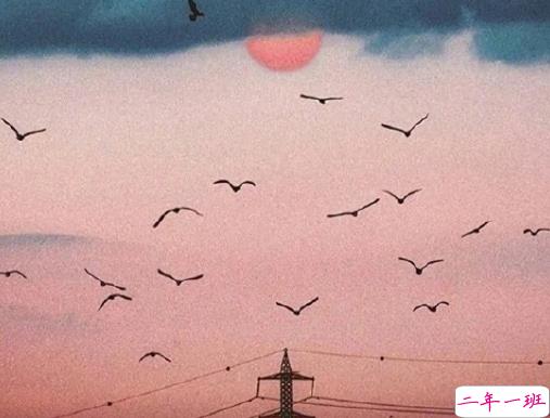 高级感让人眼前一亮的说说带图片 很温柔的说说带图片4