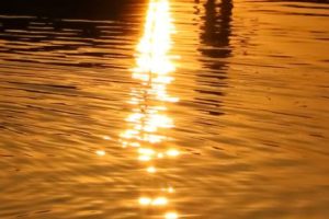 句句撼动人心的精辟语录 很现实的语录合集