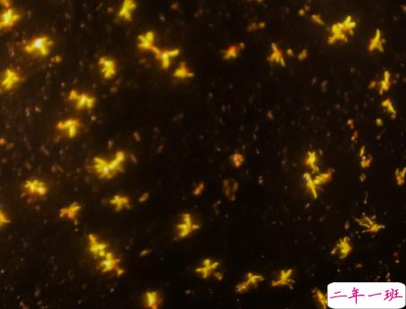 句句撼动人心的精辟语录 很现实的语录合集2