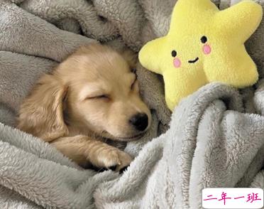 摆烂人发的沙雕文案带图片 我最大的能耐就是躺着不动14