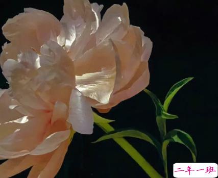 希望以后的生活没有焦虑的句子 希望生活有更多期待的文案1