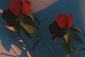 突然间很心疼自己说说 最简短最心酸委屈的句子