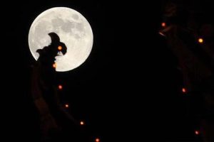 中秋节赏月的心情说说 2022中秋赏月的开心语录