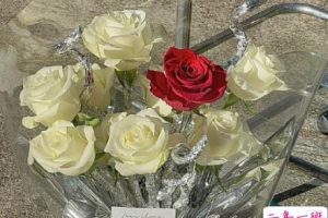 疫情不能开学的说说 因为疫情不能上学的句子