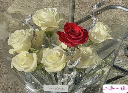 疫情不能开学的说说 因为疫情不能上学的句子1