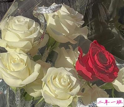 疫情不能开学的说说 因为疫情不能上学的句子2